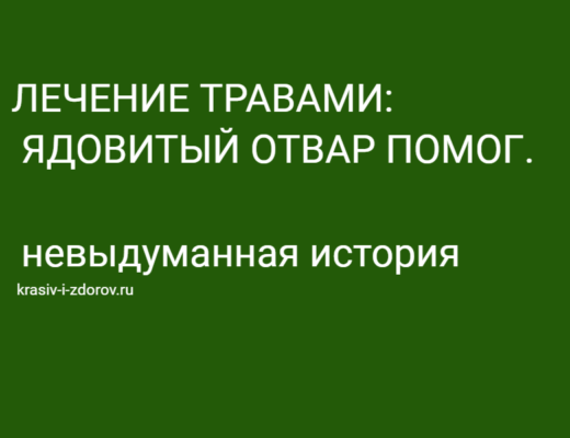 лечение травами