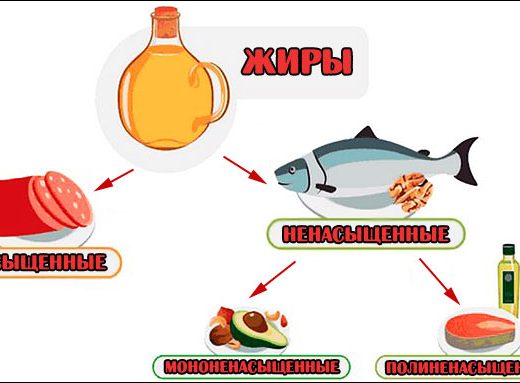 Насыщенные и ненасыщенные жиры