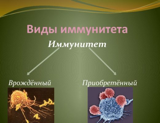 иммунитет врожденный приобретенный