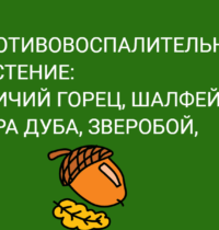 Противовоспалительные растения: змеиный горец, шалфей, зверобой, кора дуба.